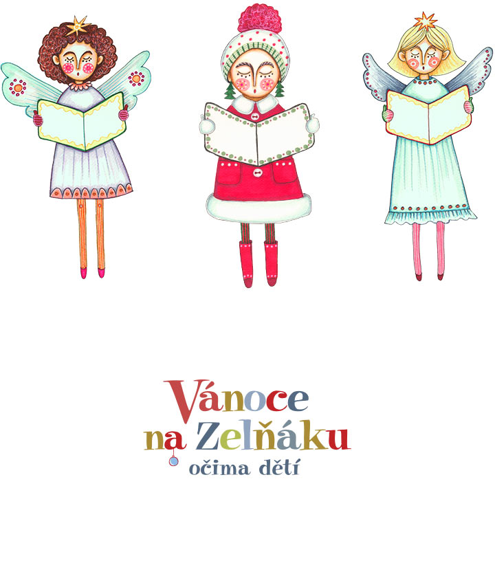 zelnak-2013-2